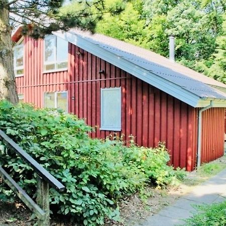 Komfort-Ferienhaus - Extertal Ferienpark - Entspannung, Natur, Wald, Familie #51 Eksteriør billede